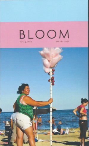 Cover of Bloom 7